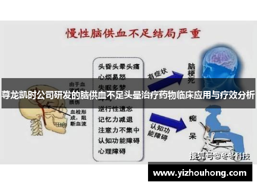尊龙凯时公司研发的脑供血不足头晕治疗药物临床应用与疗效分析
