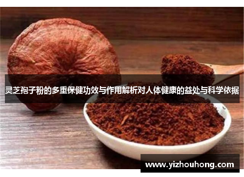 灵芝孢子粉的多重保健功效与作用解析对人体健康的益处与科学依据