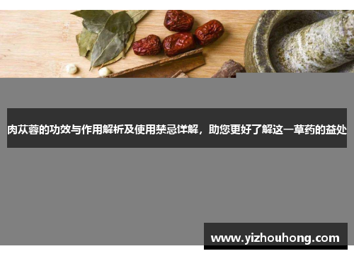 肉苁蓉的功效与作用解析及使用禁忌详解，助您更好了解这一草药的益处